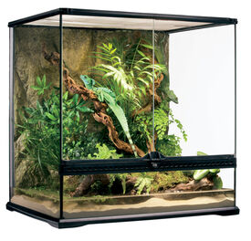 ZOOMED Terrarium 2 portes 76x30x40 cm