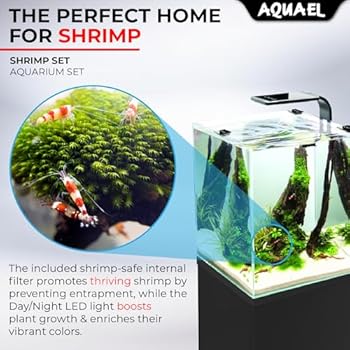 AQUAEL Aquarium Shrimp Set Smart Day & Night 10L Blanc