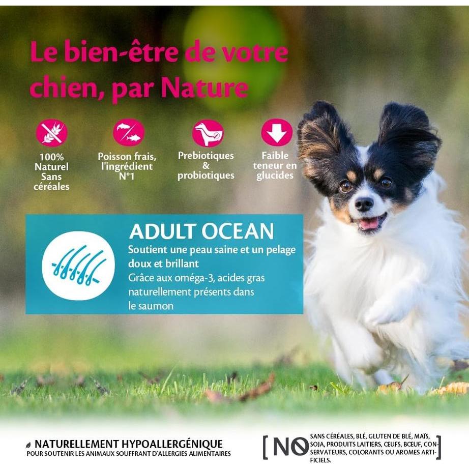 WELLNESS CORE Small Breed Adult Ocean Saumon et Thon 5kg