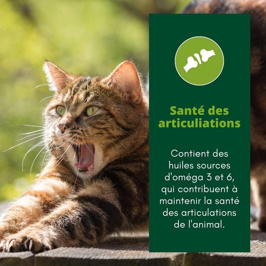 EQUILIBRE & INSTINCT Terrine pour chat âgé riche en saumon & courgettes 14x85g