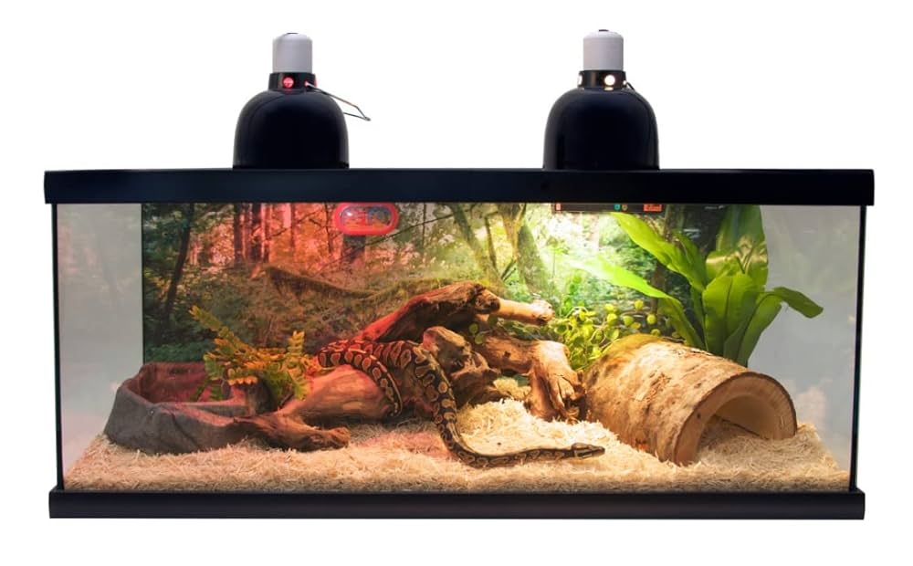 ZOOMED ReptiHabitat Terrarium Double Porte 91x46x46 cm