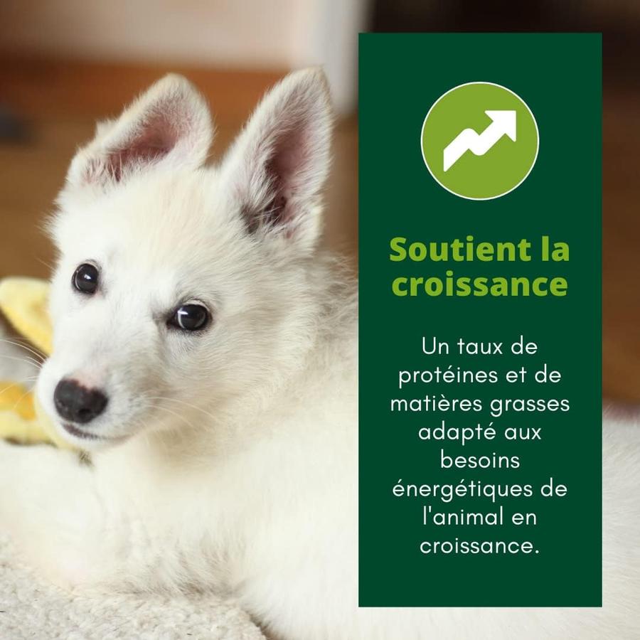 EQUILIBRE & INSTINCT Terrine pour jeune chien riche en volaille, carottes & lait 11x150g