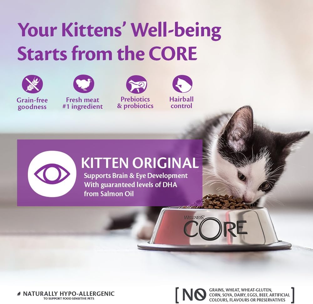 WELLNESS CORE Chaton Croquettes Dinde Poulet 300g