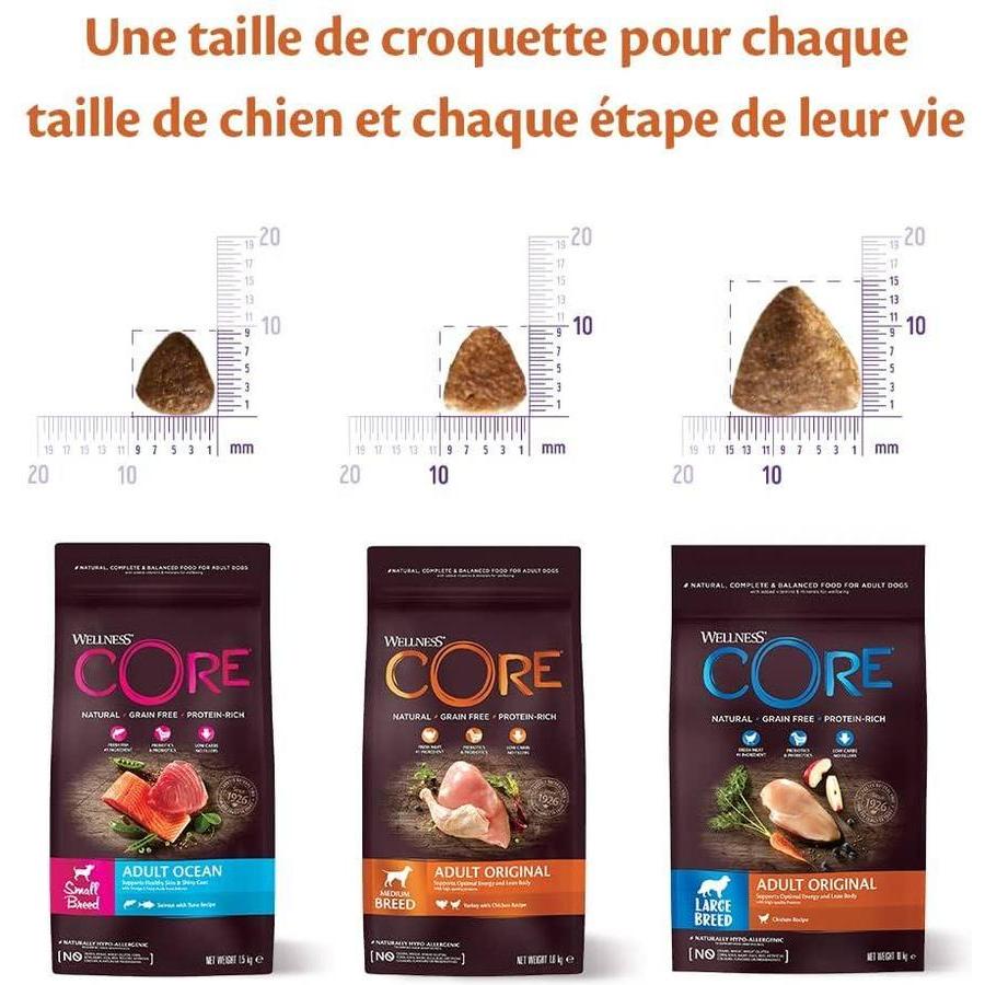 WELLNESS CORE Small Breed Adult Low Fat Dinde 5kg