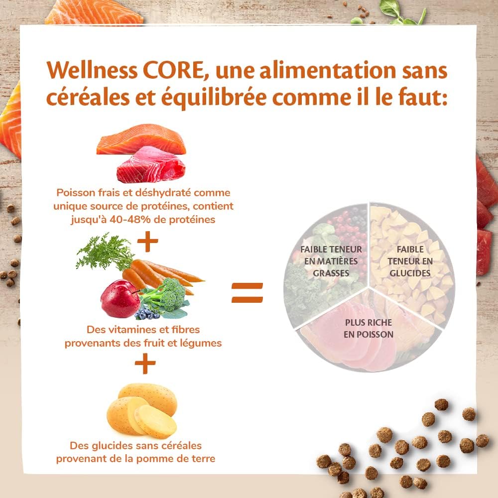 WELLNESS CORE Chat Croquettes Ocean Saumon & Thon 300g