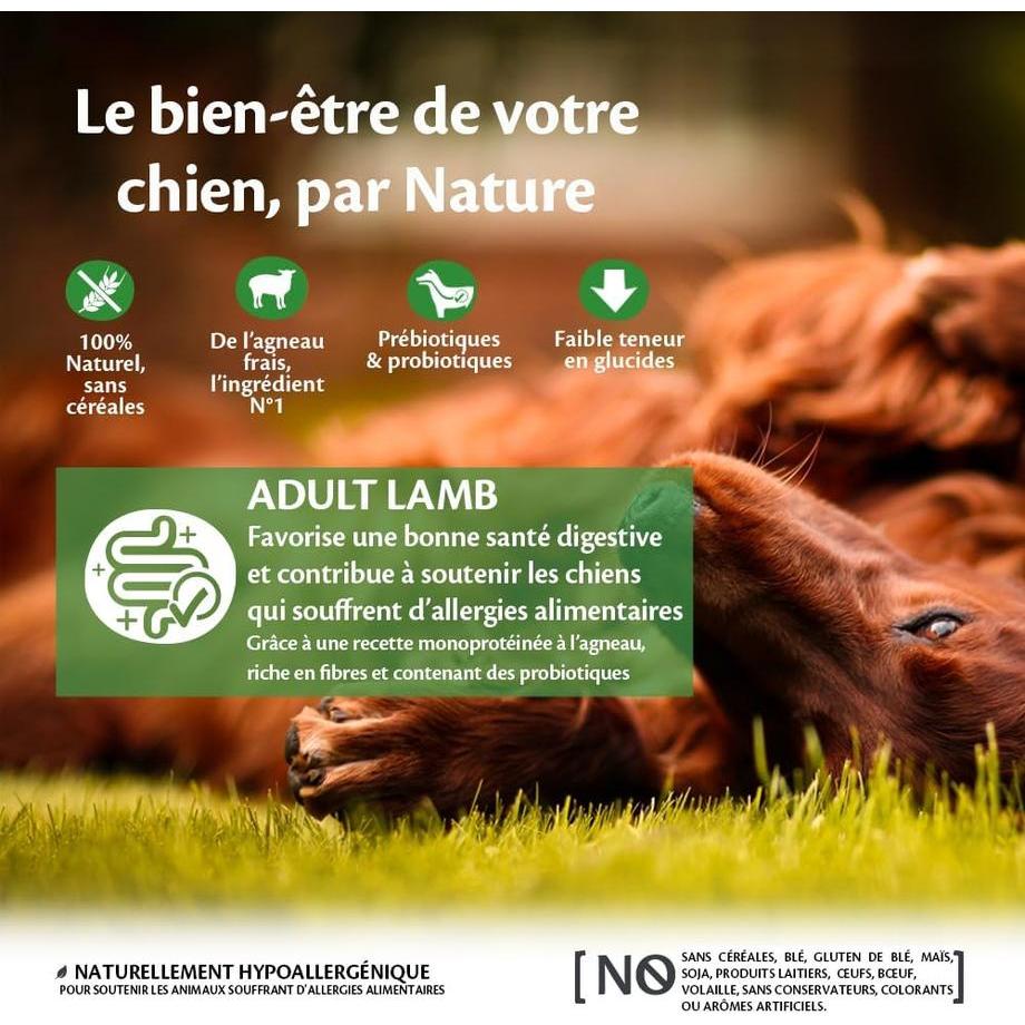 WELLNESS CORE Adult Lamb Agneau 1.8kg