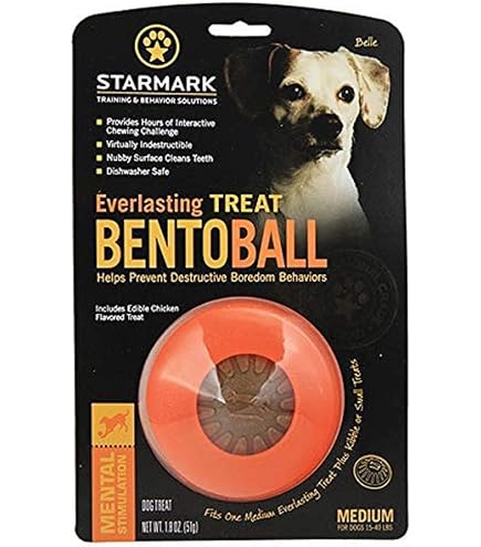 STARMARK Everlasting Treat Wheeler Jouet à Mâcher Taille M Ø 11,5x6cm avec Friandise