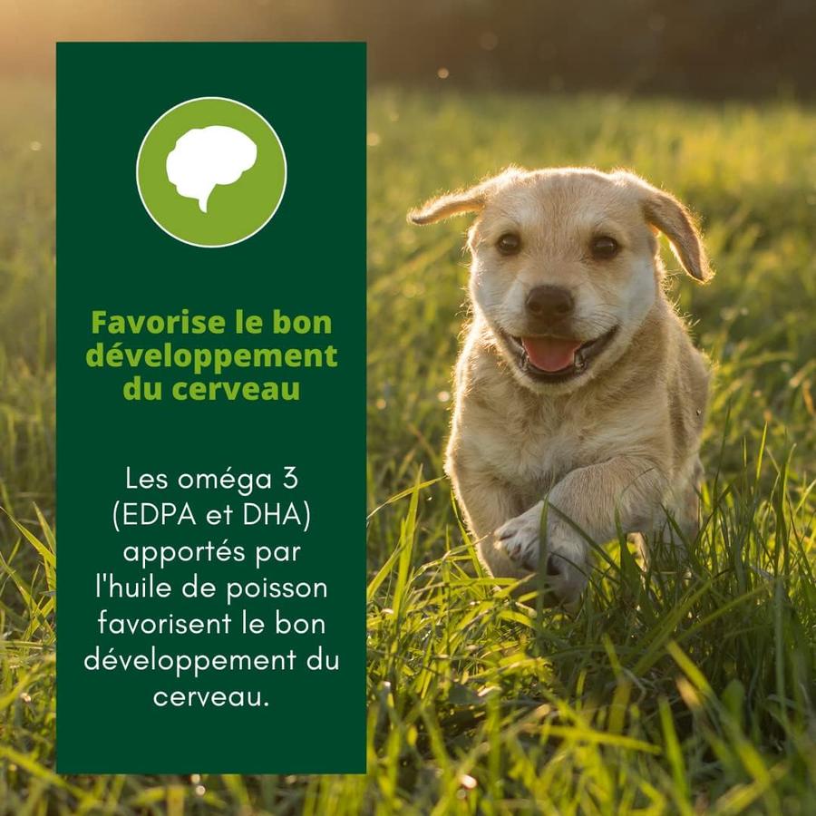 EQUILIBRE & INSTINCT Terrine pour jeune chien riche en volaille, carottes & lait 11x150g
