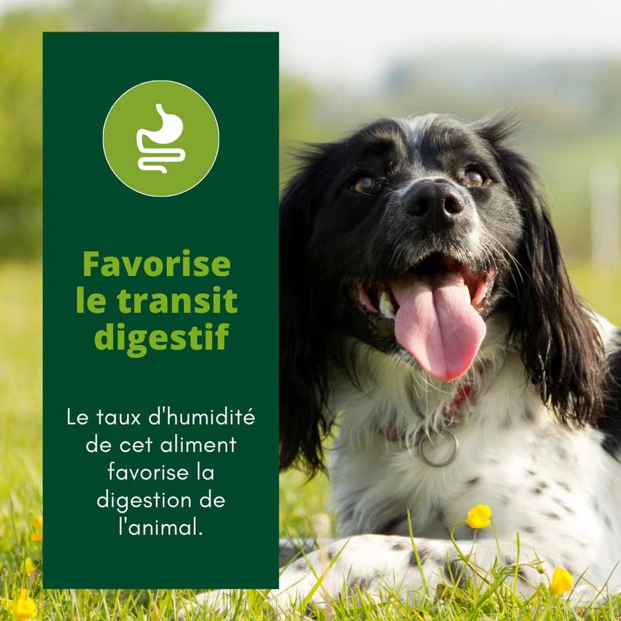 EQUILIBRE & INSTINCT Terrine pour chien adulte riche en bœuf & petit pois 9x300g