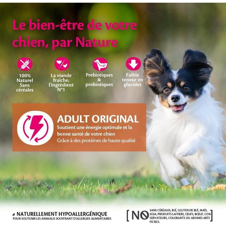 WELLNESS CORE Small Breed Adult Original Dinde et Poulet 1.5kg