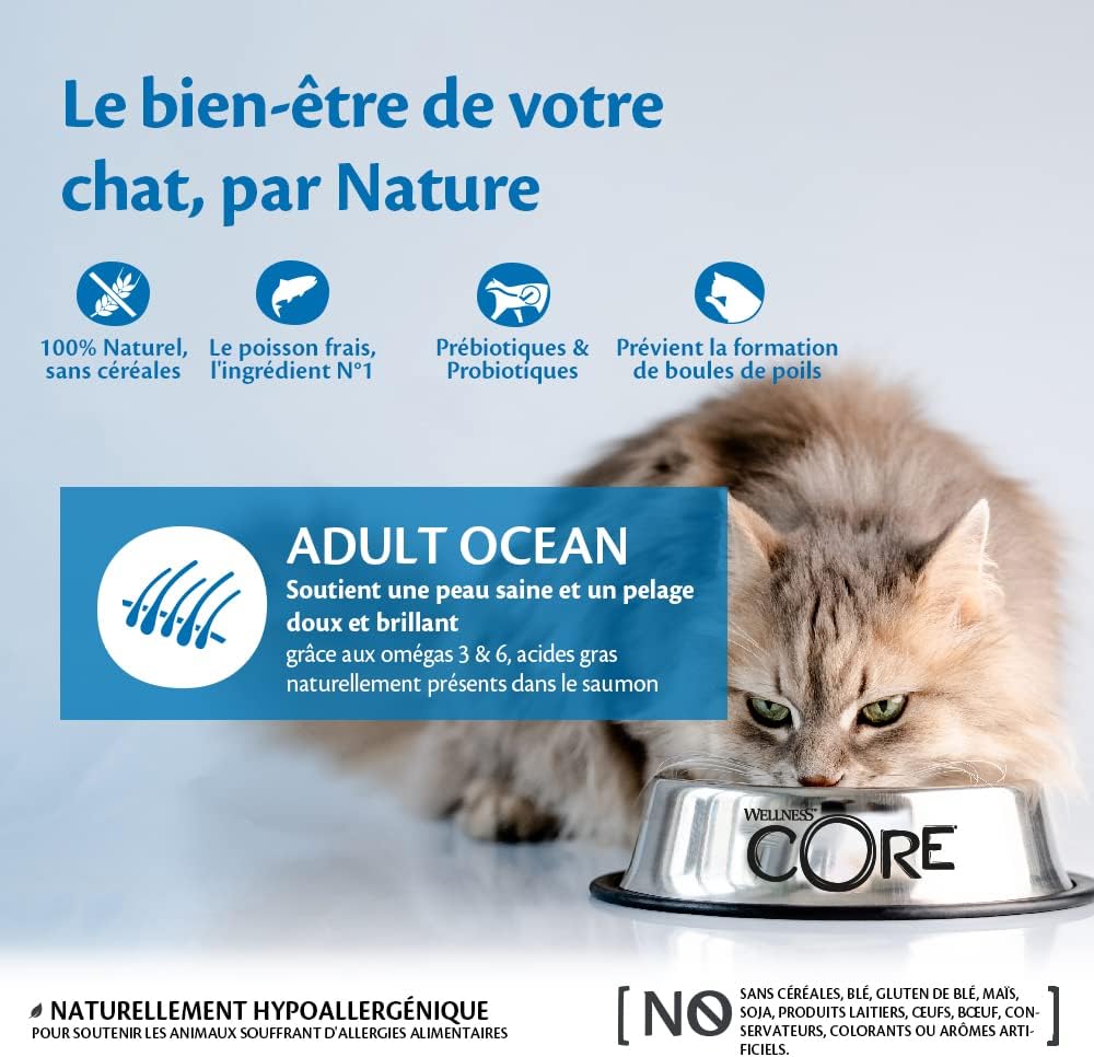 WELLNESS CORE Chat Croquettes Ocean Saumon & Thon 300g