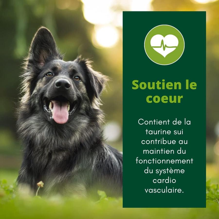 EQUILIBRE & INSTINCT Terrine pour chien adulte riche en bœuf & petit pois 9x300g