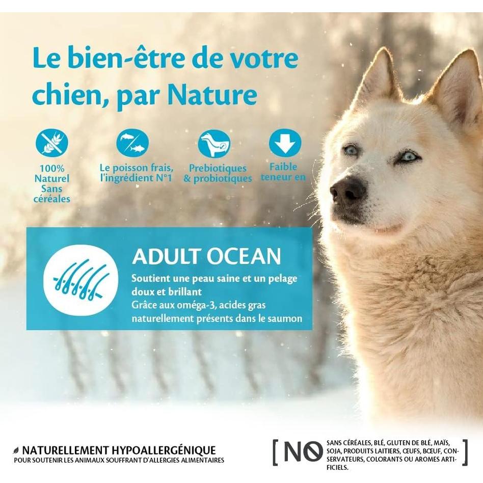WELLNESS CORE Ocean Croquettes Chien Adulte Saumon Thon 1.8kg