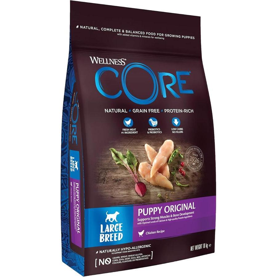 WELLNESS CORE Large Breed Puppy Original Poulet 10kg