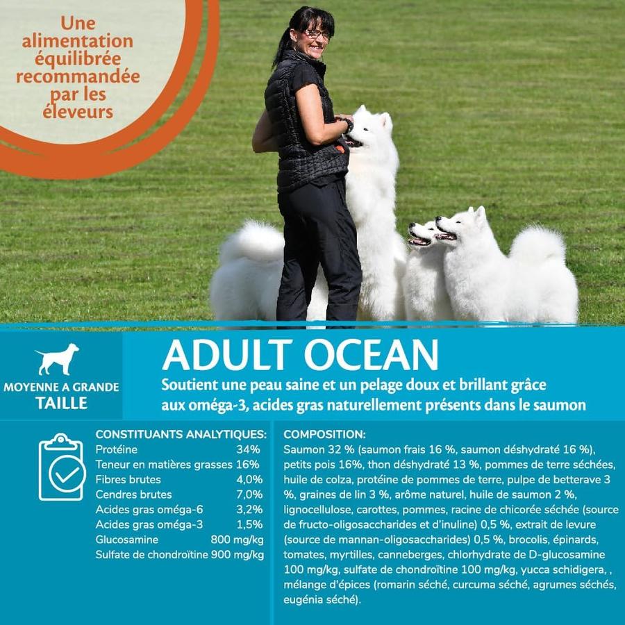 WELLNESS CORE Ocean Croquettes Chien Adulte Saumon Thon 1.8kg