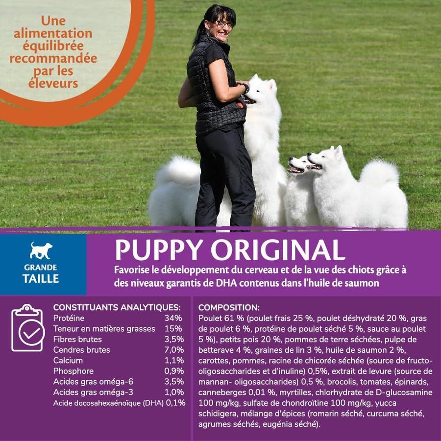 WELLNESS CORE Large Breed Puppy Original Poulet 10kg