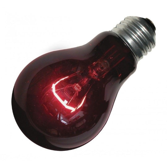 ZOOMED Lampe Nightlight Red 100W Ampoule chauffante rouge pour reptiles et petits animaux