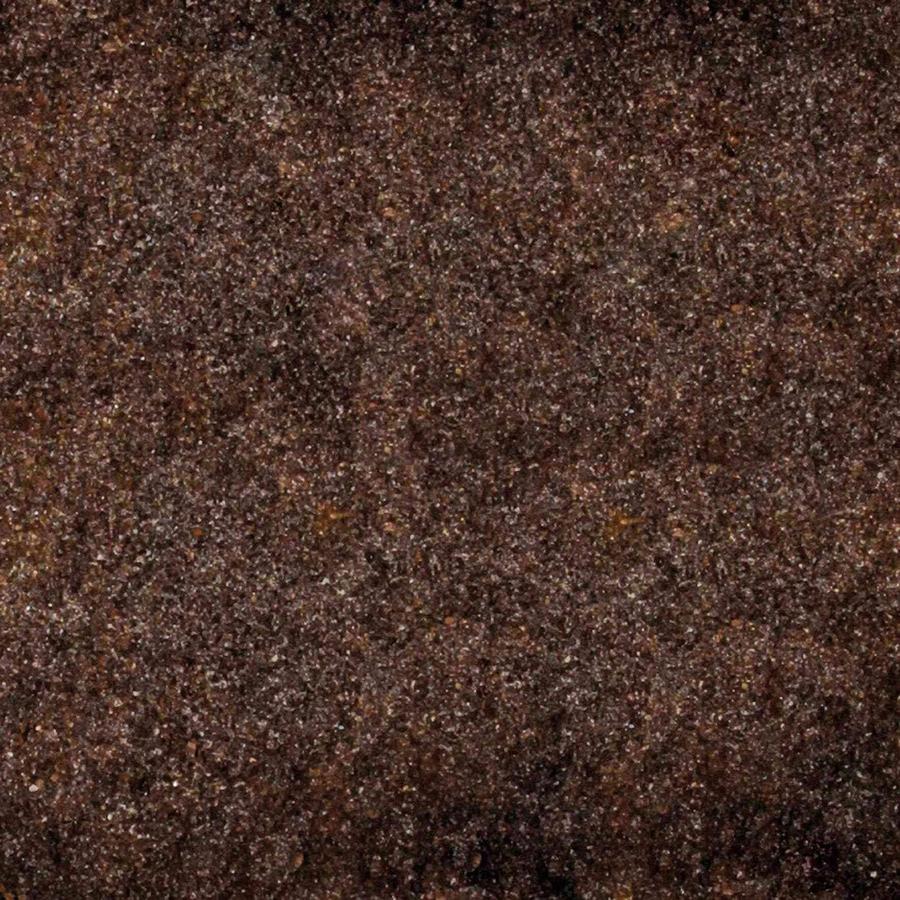 TRIXIE Humus naturel Substrat naturel pour terrarium 10L