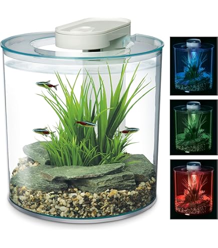 AQUAEL Aquarium Shrimp Set Smart D&N 30 Blanc 30L