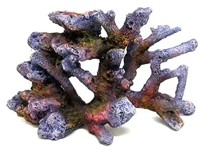REEF ROCK BRANCH SERIES SM2 19.5x9x11.7cm