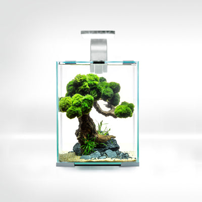 AQUAEL Aquarium Shrimp Set Smart Day & Night 10L Blanc