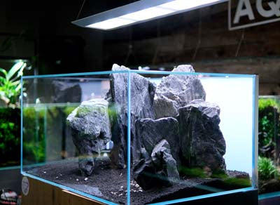 CUVE ULTRASCAPE 90 SET DIAMOND EDITION 90x60x45cm 10mm 240L AQUAEL