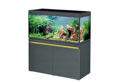*INCPIRIA 430 combi GRAPHIT 2 x power LED+ (sur commande)