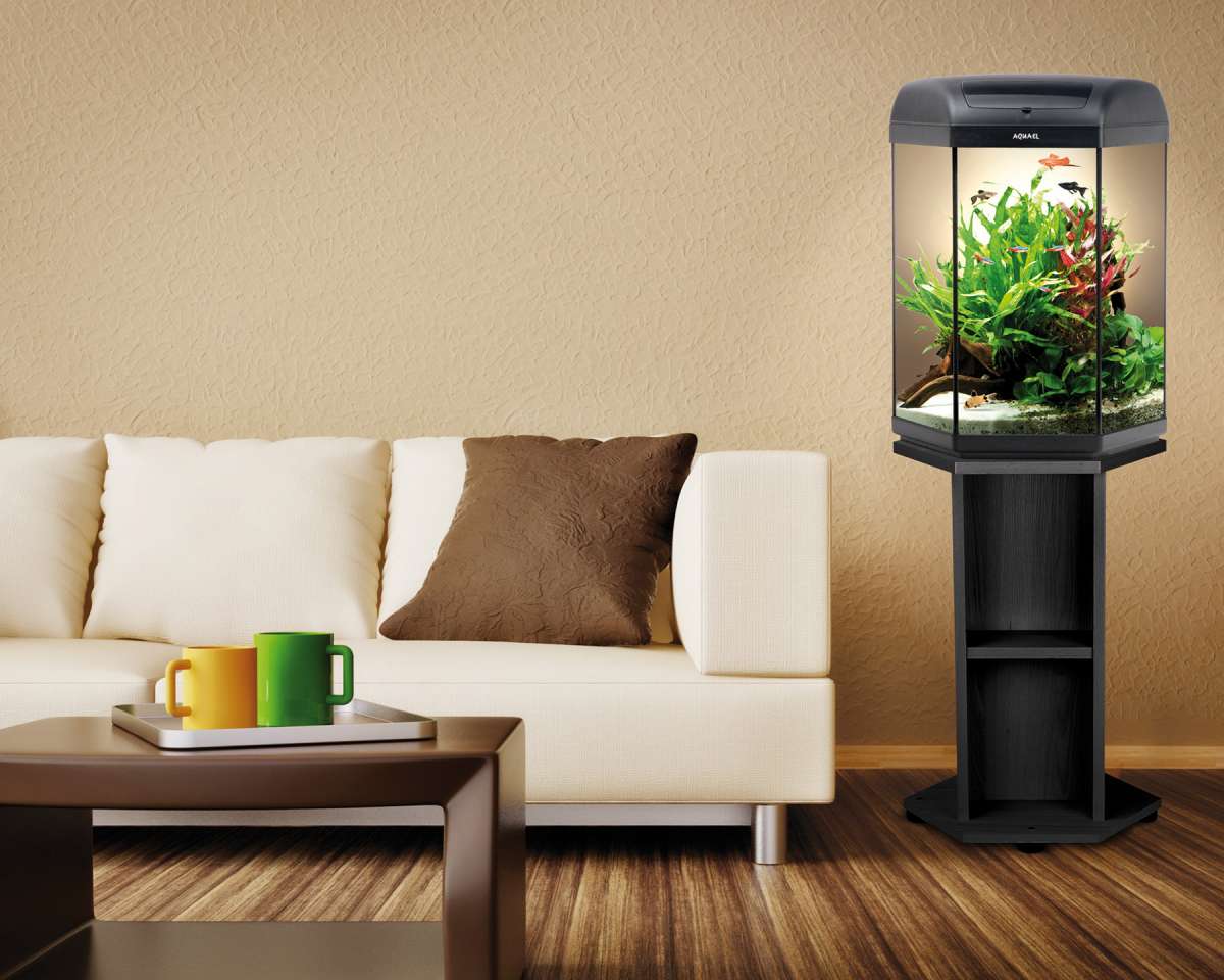 AQUAEL Aquarium HEXA SET D&N 60L LED Filtre Chauffe-eau Intégré