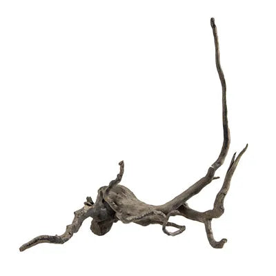 RACINE FINGERWOOD S DARK 20-30cm HOBBY