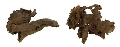 RACINE MANGROVE XS 12-15cm HOBBY