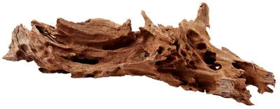 RACINE MANGROVE M 25-35cm HOBBY