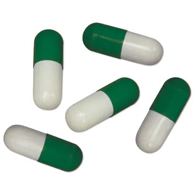 PLANARIA X SPECIAL BAIT appat planires HOBBY