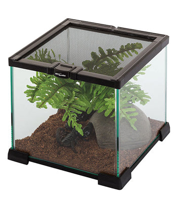TERRARIUM 21x21x20cm REPTIZOO