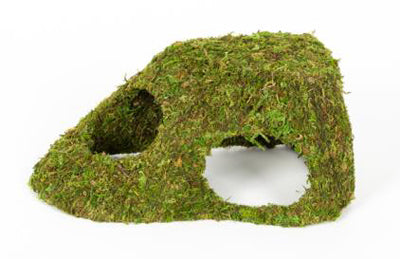 DOME MOUSSE NATURELLE 25.5x14x11.5cm REPTIZOO