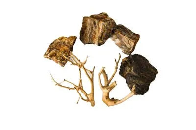 ROCHES + RACINES WOOD FOSSIL (4/6pc - 2pc) SCALARE