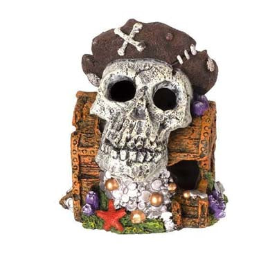 Crâne 11x9.7x12.5cm SCALARE