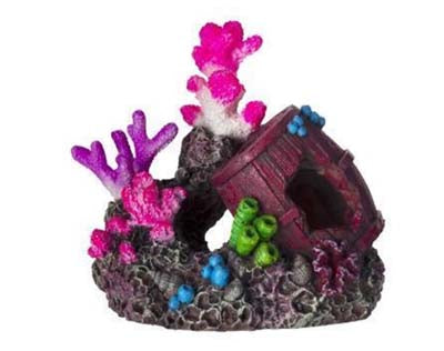 Coraux 11.2x7.2x10cm SCALARE