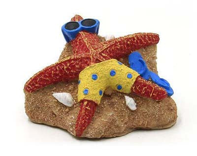 Étoile de mer 8.6x7.5x4.8cm SCALARE