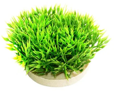 GREEN MOSS H:7cm SCALARE