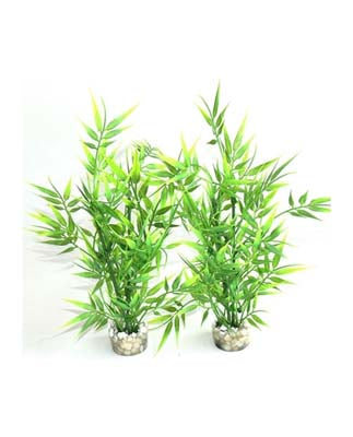 BAMBOO PICK  H:25cm SCALARE