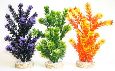 FIESTA AQUAPLANT H:24cm SCALARE