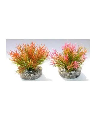 PETITE MOSS H:9cm SCALARE