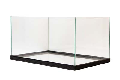 CUVE TORTUES AQUATIQUE 60x40x30cm SCALARE