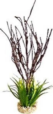 TERRA BRANCHES PLANTE 39cm SCALARE