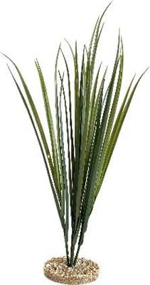 TERRA HERBE 65cm SCALARE