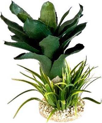 TERRA ANANAS PLANTE 27cm SCALARE