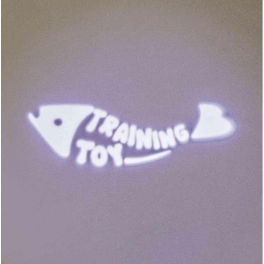 TRIXIE Pointeur LED Catch the Light Poisson 8 cm Gris