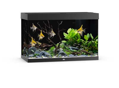 Aquarium RIO 290 LED (2x led 895mm) NOIR JUWEL