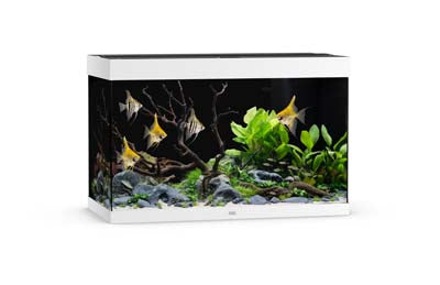 Aquarium RIO 290 LED (2x led 895mm) BLANC JUWEL