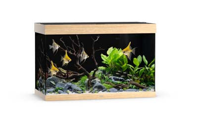 Aquarium RIO 290 LED (2x led 895mm) CHENE CLAIR JUWEL